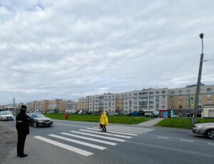 Профилактическое мероприятие «ПЕШЕХОД, ПЕШЕХОДНЫЙ ПЕРЕХОД» продолжается на территории Пушкинского района!